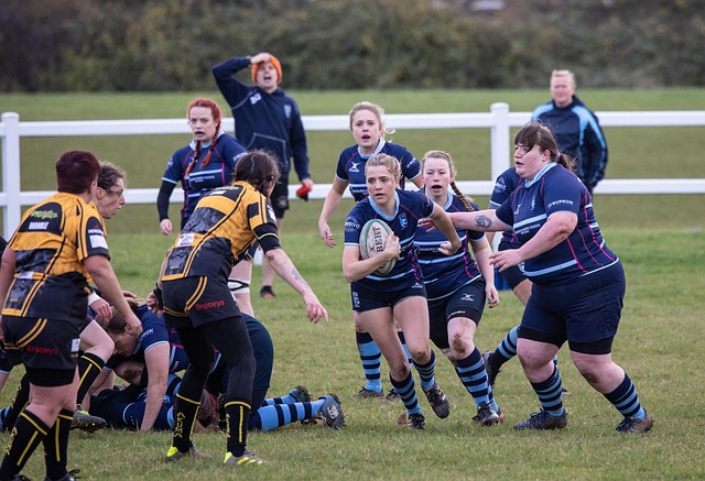 克逊的引进 克逊的引进